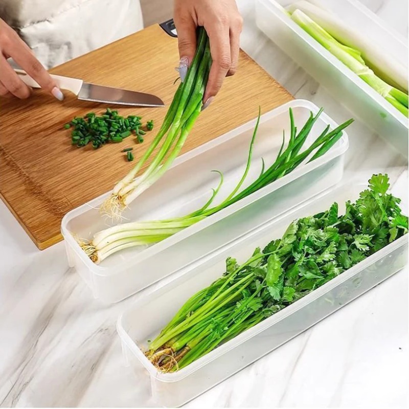 1/2/4Pcs Green Onion Fresh-kee - Commercial Kitchen Utensil Organizer review and price